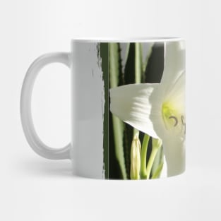 beautiful world with white amaryllis into vintage frame Mug